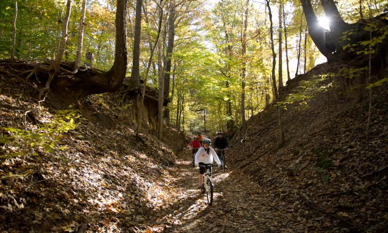 Yes, there really is mountain biking in the Delta! Get your fix on Crowley’s Ridge.